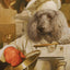 Nourriture Sèche Pour Chien Sans Grains *Pré Et Marée* - Fromm Four-Star