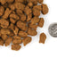 Nourriture Sèche Pour Chien *Truite et Poisson Blanc* - Fromm Four-Star