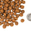 Nourriture Sèche Pour Chien Sans Grains *Boeuf Frittata à la Végé* - Fromm Four-Star