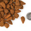 Nourriture Sèche Pour Chien Sans Grains *Poulet au Fromage* - Fromm Four-Star