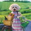 Nourriture Sèche Pour Chien Sans Grains *Poulet au Fromage* - Fromm Four-Star