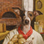 Nourriture Sèche Pour Chien *Porc et Pommes* - Fromm Four-Star