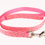 Laisse Hunter Pour Chien Simple Poignée 3/4'' X 48''
