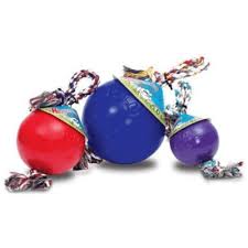 Balle Avec Corde Jolly Pets Romp-N-Roll