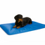 Tapis Rafraichissant pour Chiens Bleu 'Cool Bed III'