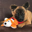 Jouet Kong 'Cozie' Ours