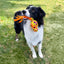 Jouet Kong Pour Chien Wubba™  ''High-Viz'' Wubba