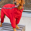 Manteau D'hiver Pour Chien Canada Pooch Rouge