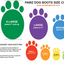 Bottes pour Chiens en Caoutchouc Colorés