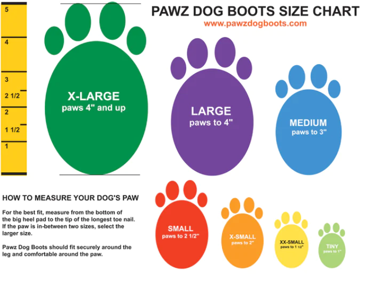 Bottes pour Chiens en Caoutchouc Colorés