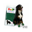 Bottes pour Chiens en Caoutchouc Colorés