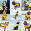 Veste de Flottaison - Jaune - Canada Pooch