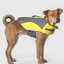 Veste de Flottaison - Jaune - Canada Pooch