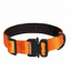 Collier En Nylon Canada Pooch Pour Chien