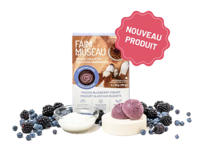 Yogourt glacé aux bleuets