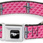 Collier Pour Chien Avec Attache Ceinture Licencé