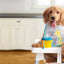 Nourriture Sèche Pour Chien Gold Chiot Grande Race - Fromm
